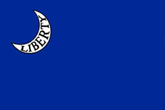 Moultrie Flag